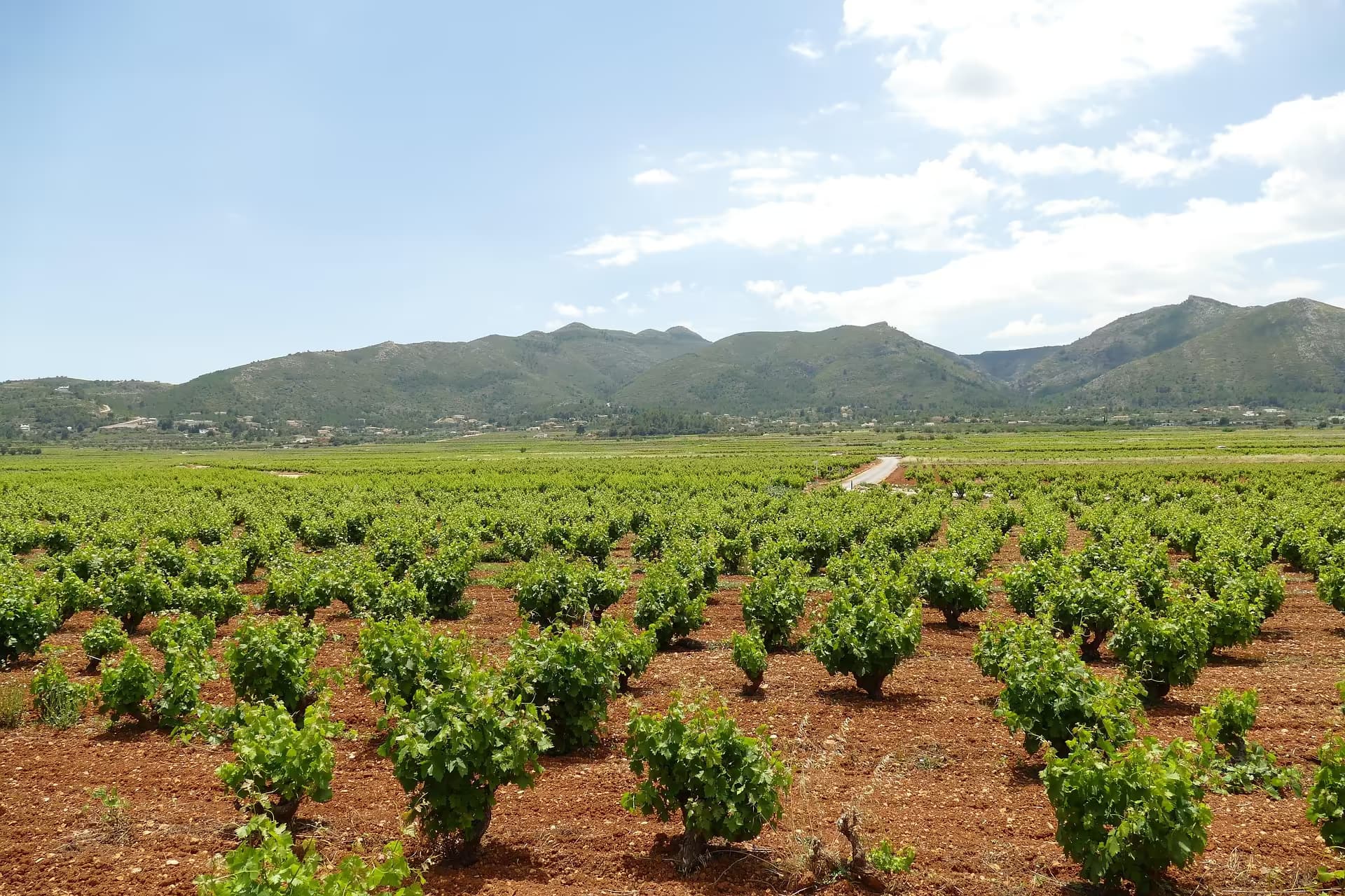 Xaló – Jalón