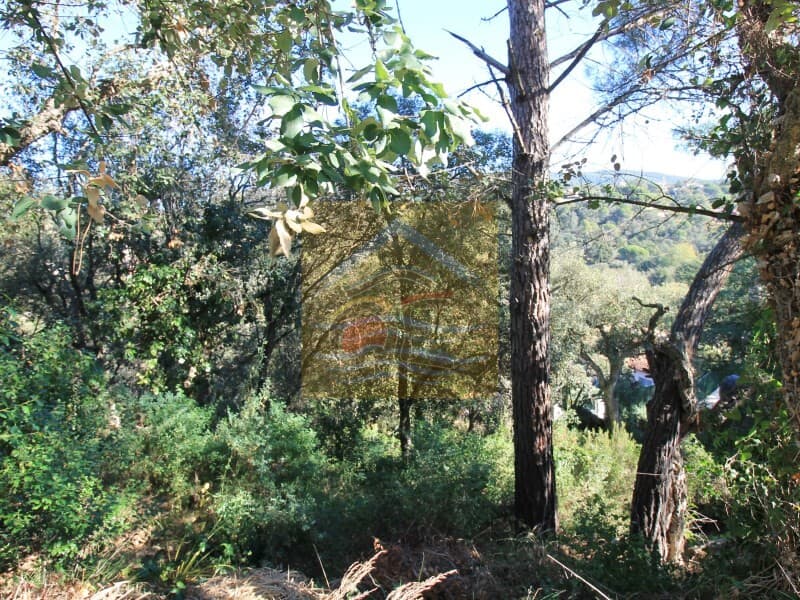 Parcela Calonge