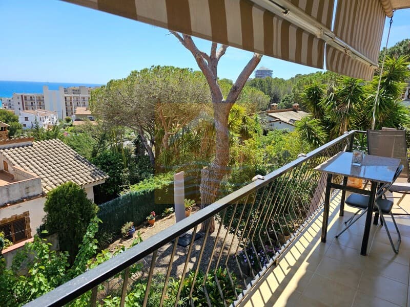 Villa Calonge